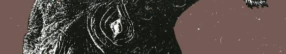 کرگدن
