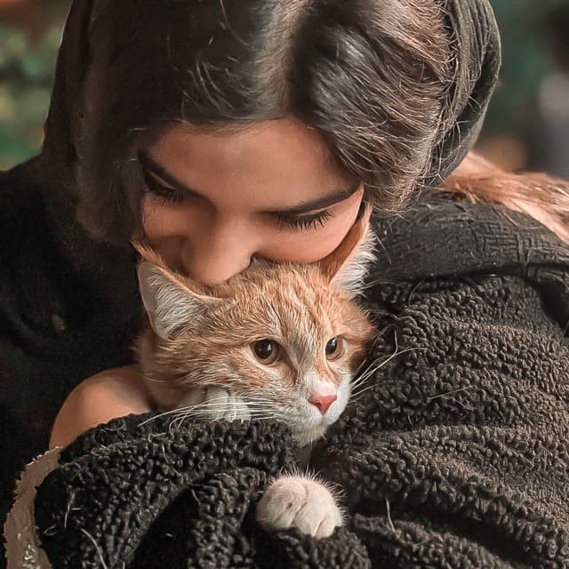 Fatemeh H