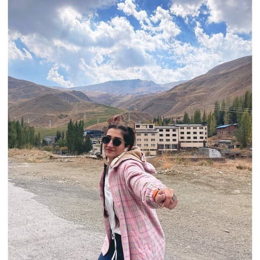 elham mahmodi