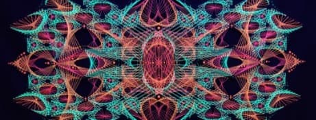 javid_jey