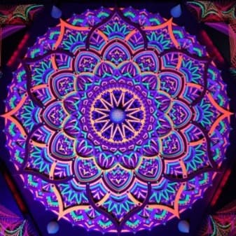 Javid Jamshidi