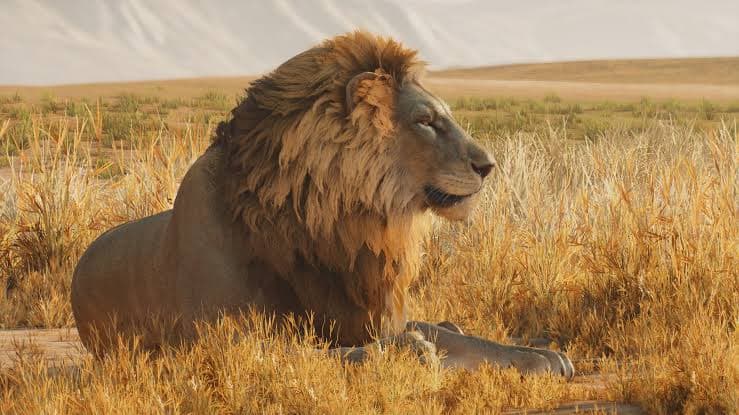 3d Render Tan Lion