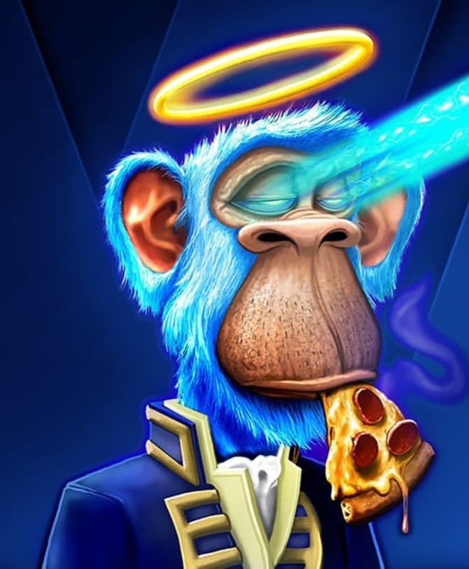 Navy Monkey