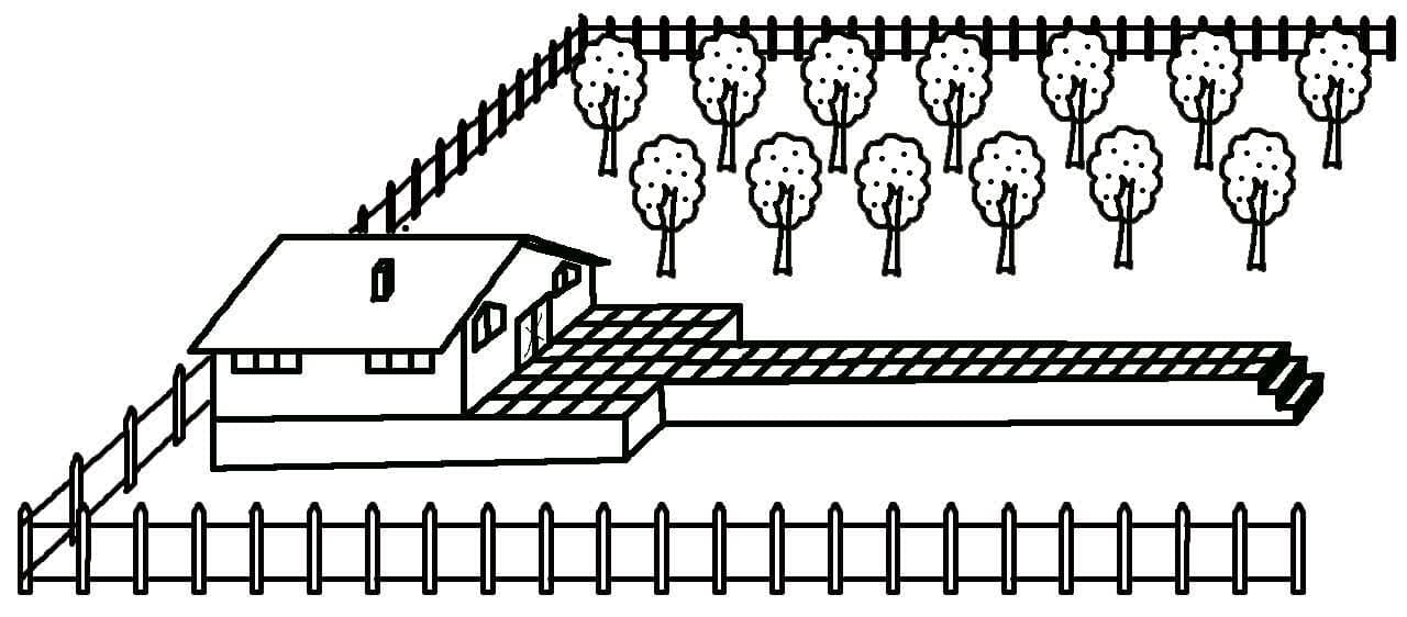 Iranian Courtyard