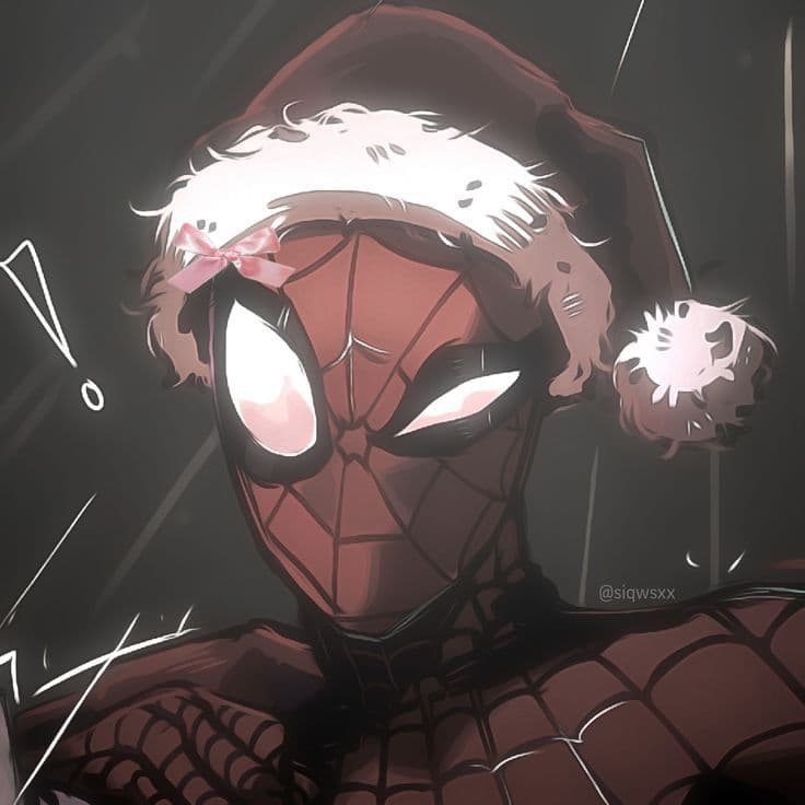 Spider cover image
