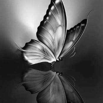 Pixel Art Charcoal Butterfly