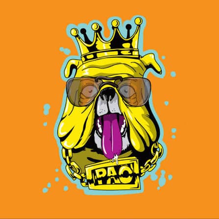 pao dog