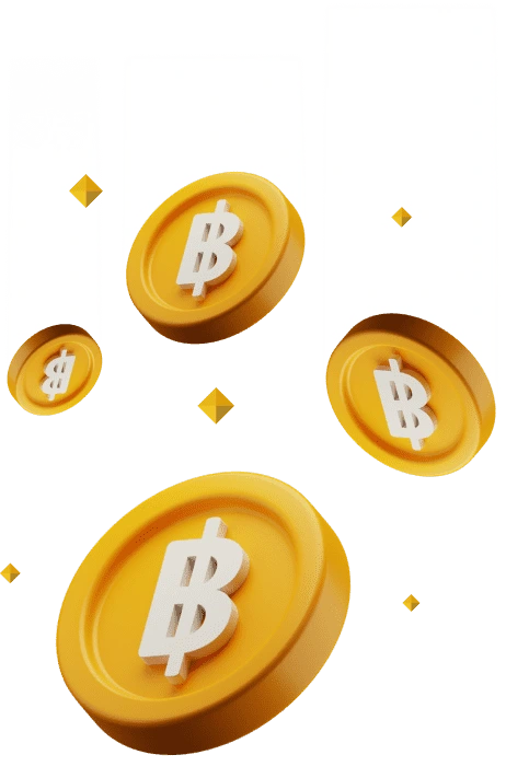 Bitcoin Coins